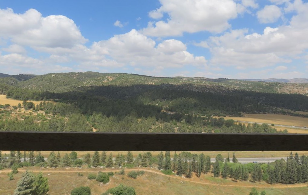 5 room Duplex Penthouse in Neve Shamir